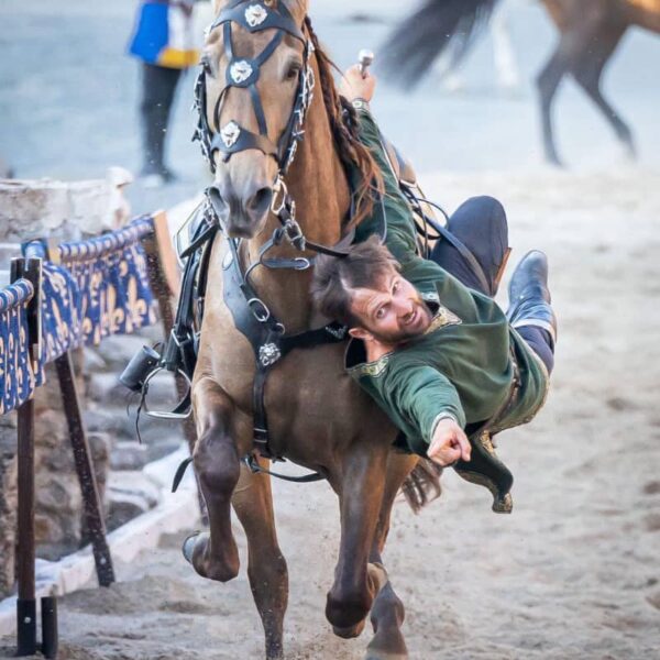 action-equestre-2