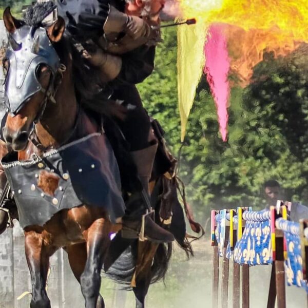 action-equestre-4